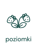 Kawa z nutami poziomek